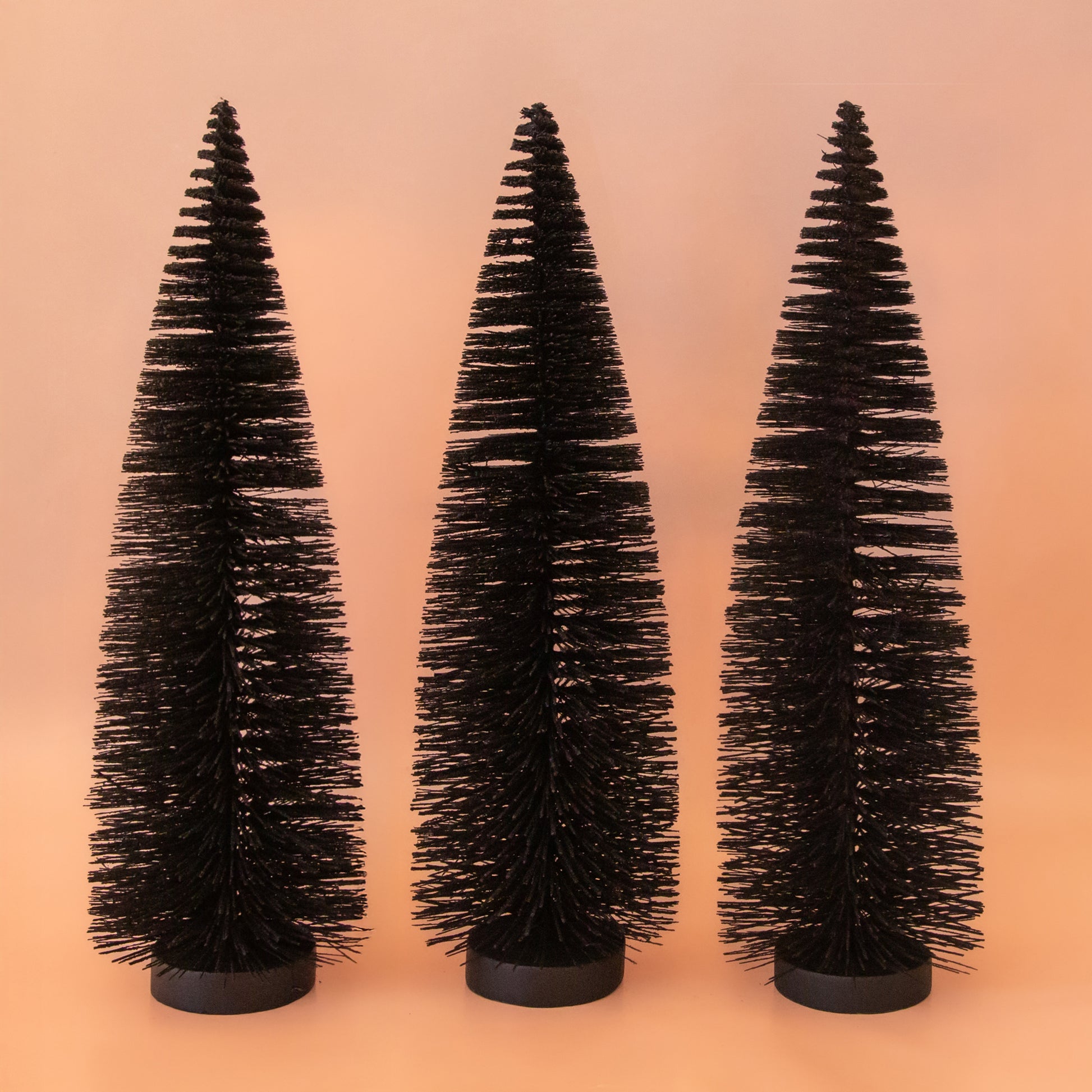 Two black bottle brush trees in two different sizes.