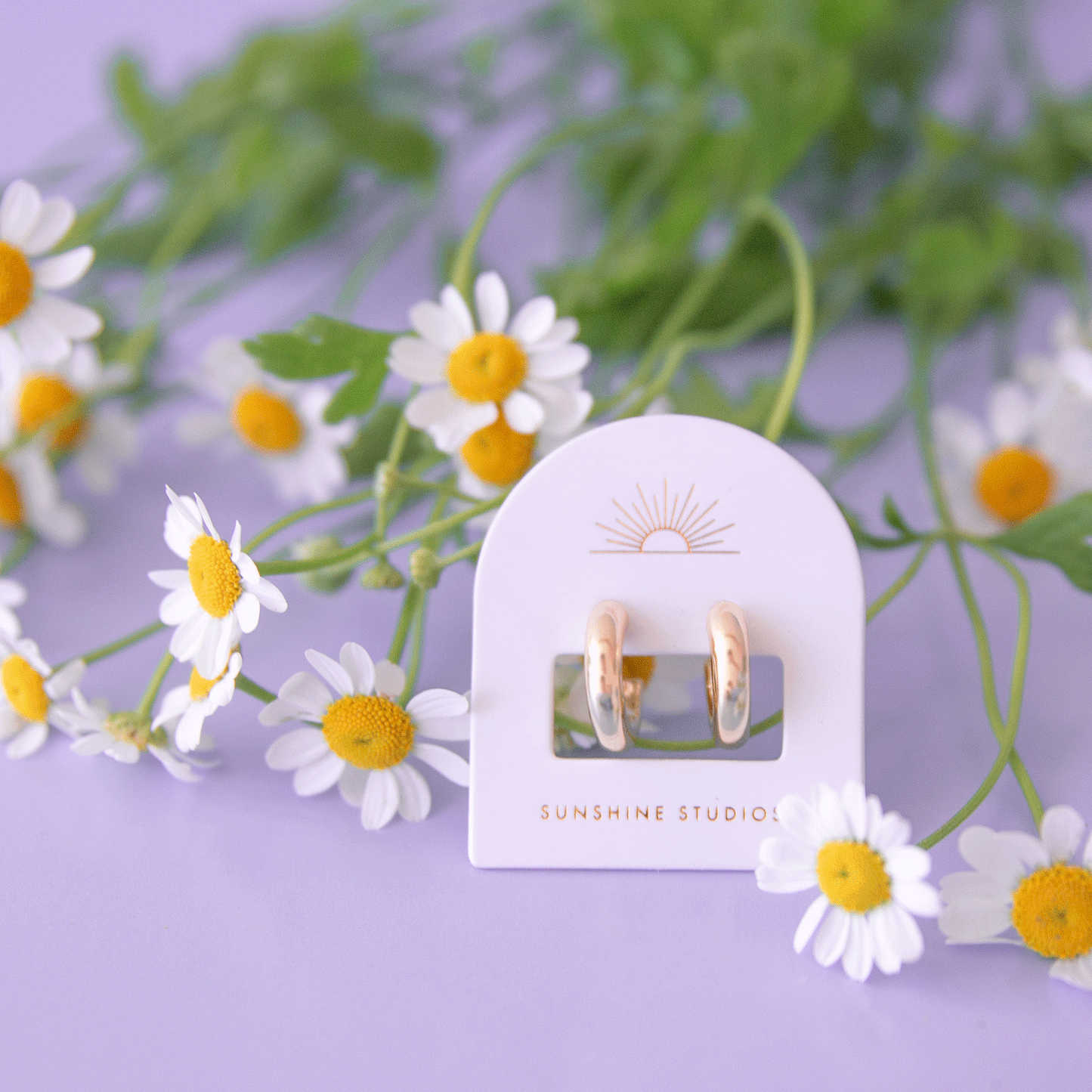 On a purple background is a pair of chunky gold hoop earrings on their arched packaging with a sun ray logo at the top and gold text at the bottom that reads, "Sunshine Studios".