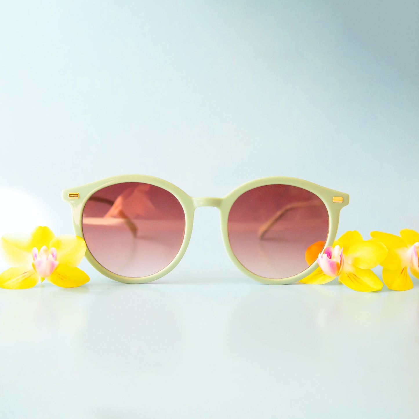 On a peach background is a light green pair of round sunglasses with a brown lens.