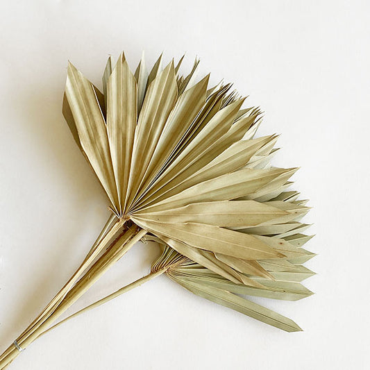 Dried Natural Palm Bunch | Sun Cut